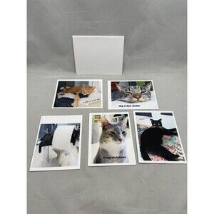 Cat Greeting Cards Envelopes Lydias Fancy Felines Evelyn McDonald Set of 5